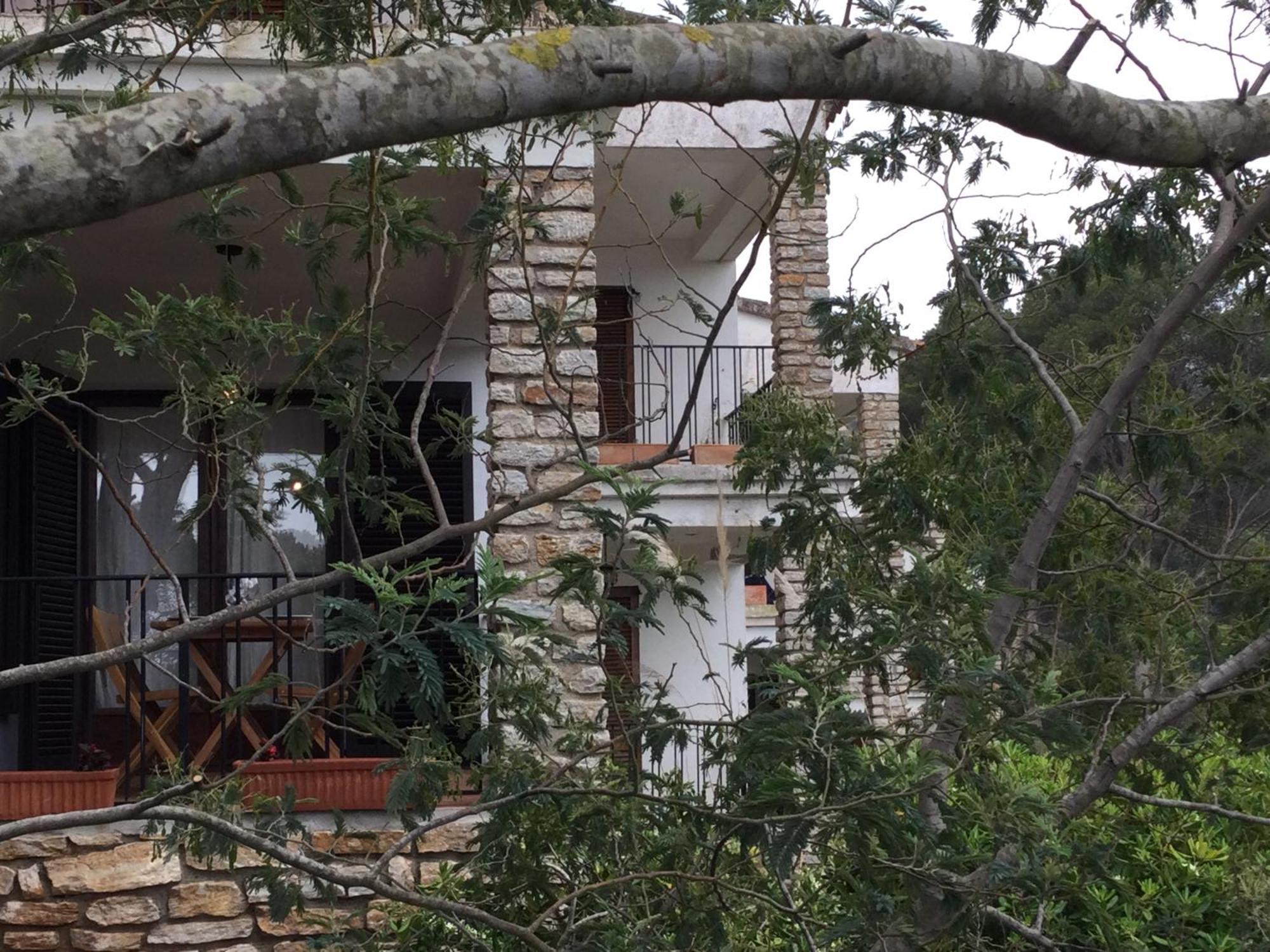 La Coma Sa Riera Apartment Begur Bagian luar foto